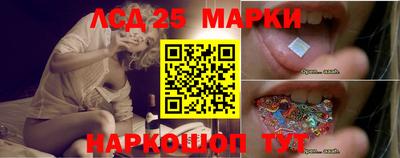 ГАЛЛЮЦИНОГЕННЫЕ ГРИБЫ Свободный