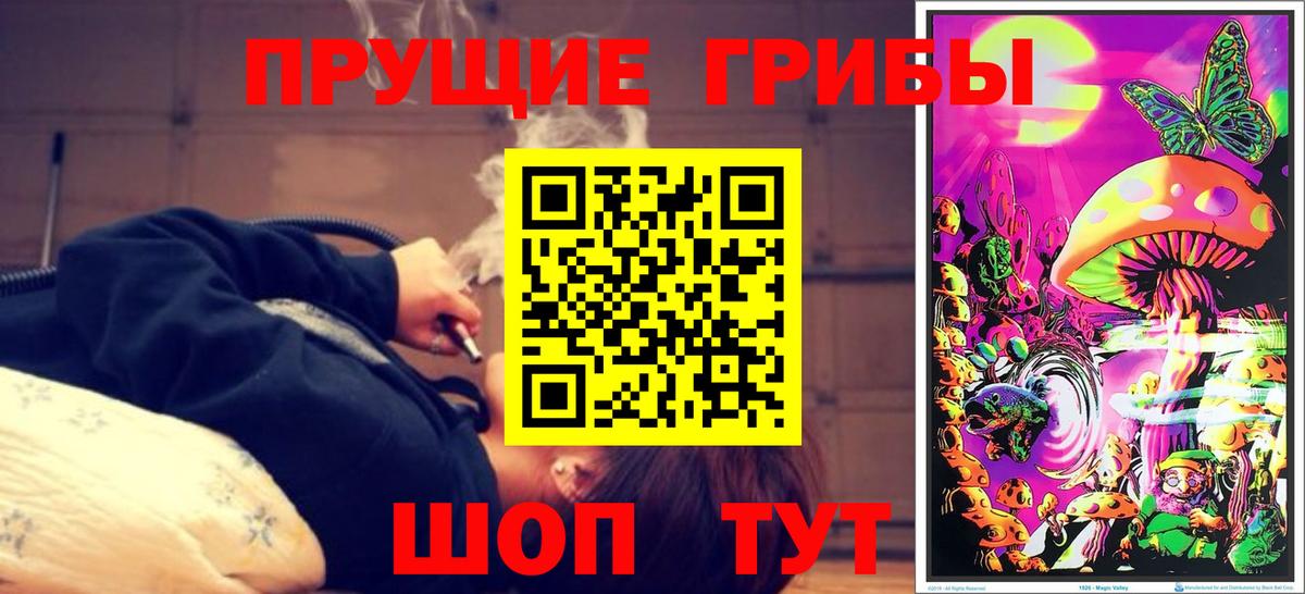 Галлюциногенные грибы Psilocybine cubensis  Псилоцибиновые грибы MAGIC MUSHROOMS  Вход с VPN  где продают наркотики  Советская Гавань 