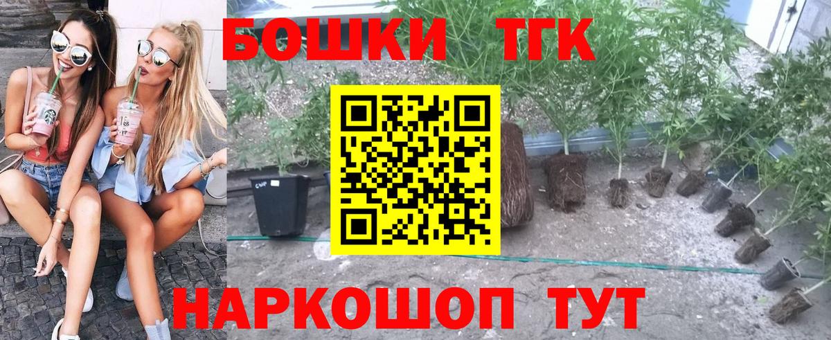 Канабис OG Kush Советская Гавань
